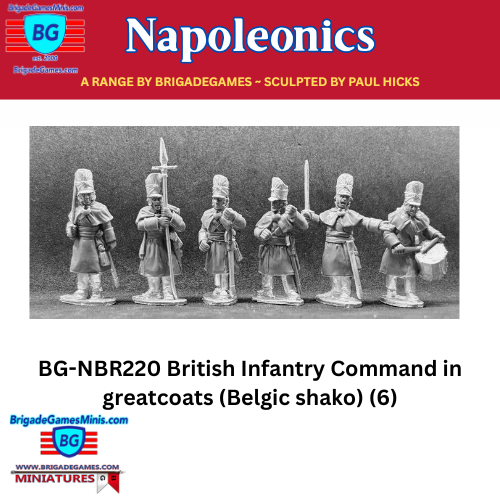 British Infantry Command in greatcoats (Belgic shako) (6) - BG-NBR220