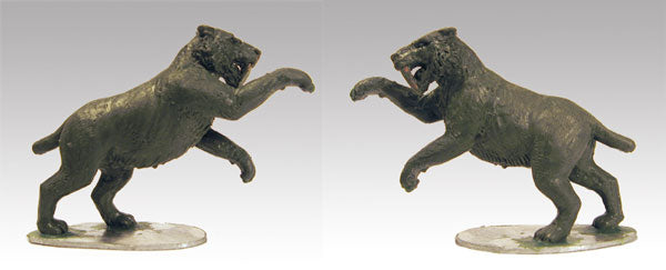 Smilodon: Sabre-Toothed Cat  -  BG-ANM001